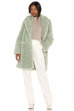 Song Of Style Ellen Coat In Sage Green